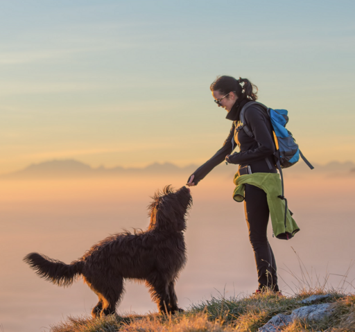Passeggiare con il proprio cane nei boschi e sugli alpeggi: rispetto per la natura e chi la ama