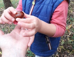 thumb
